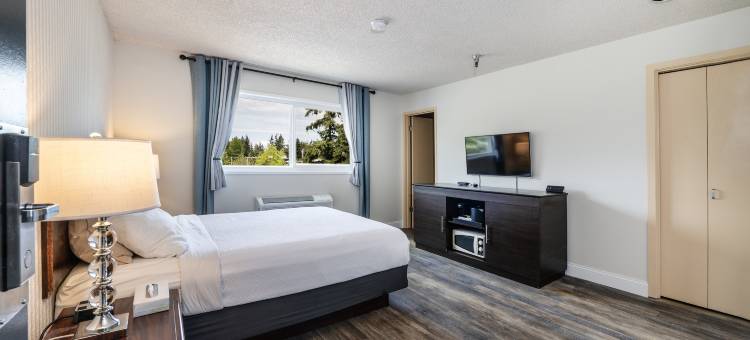 国际酒店(Hotel International)图片