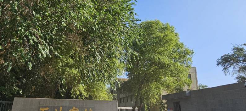 敦煌石油宾馆图片