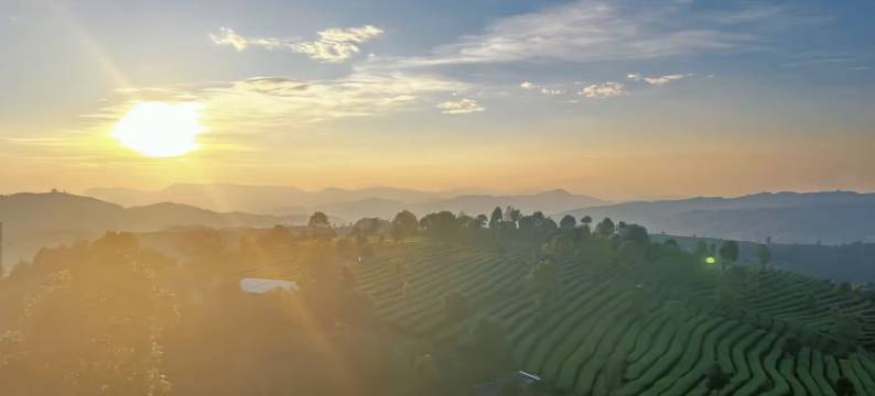 普洱金曼酒店图片