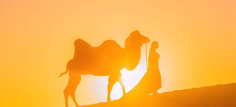 沙漠明珠星星露营地图片