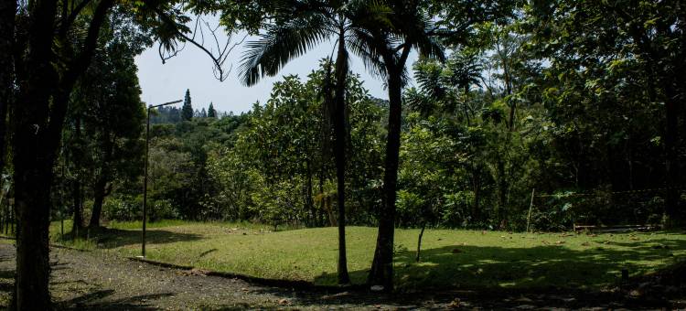 Pelangi Hotel @ ARTOTEL Pelangi Park图片