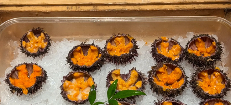 银春红商务酒店(江门江海万达广场店)图片