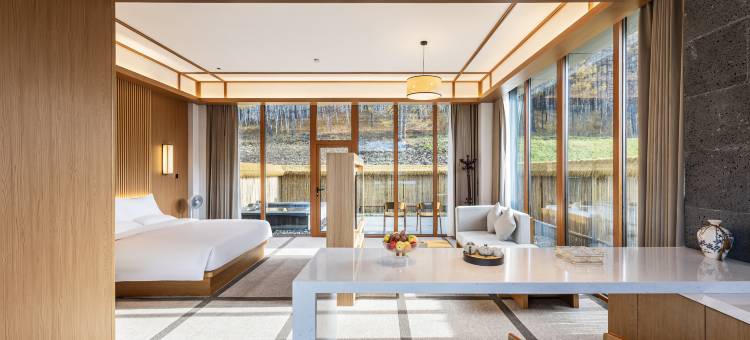 阿尔善金江沟国际维景度假温泉酒店图片