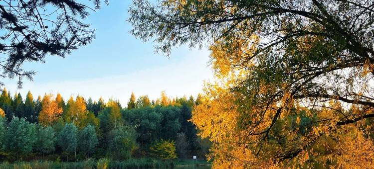 漫庭酒店(兴安国家森林公园店)图片