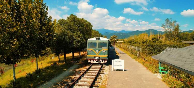 黄梅袁夫稻田villa|设计师HarvestCoffee民宿图片