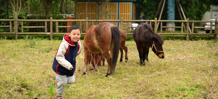 成都郫都开元名庭度假酒店图片