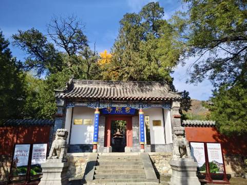 全季酒店(泰安泰山景区店)图片