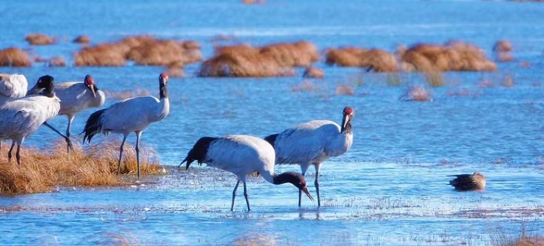 昭通慧谷村酒店(省耕文化公园合景广场店)图片