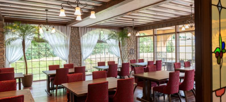 雾岛山拉维斯塔酒店(La Vista Kirishima Hills)图片