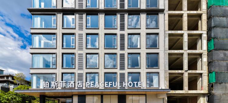 铂斯菲酒店(大理高铁站洱海公园店)图片