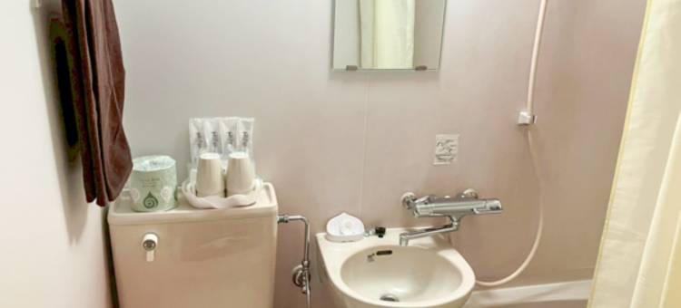 利夫马克斯经济型酒店-川崎大师店(HOTEL  LiVEMAX  BUDGET Kawasaki Daishi)图片