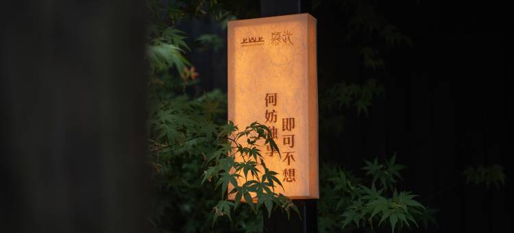 上山上·慕光·山野孤独森林图片