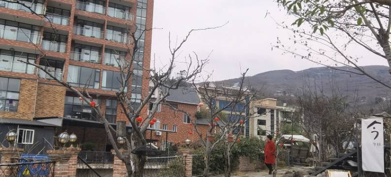 汉源槿上梨花酒店图片