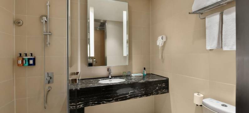 成都浣花溪智选假日酒店(杜甫草堂店)图片