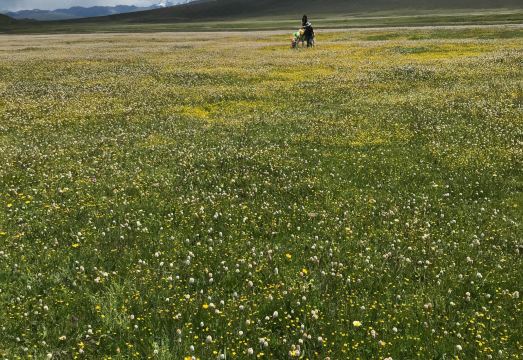 Litang Cloud Homestay Hotel Overview