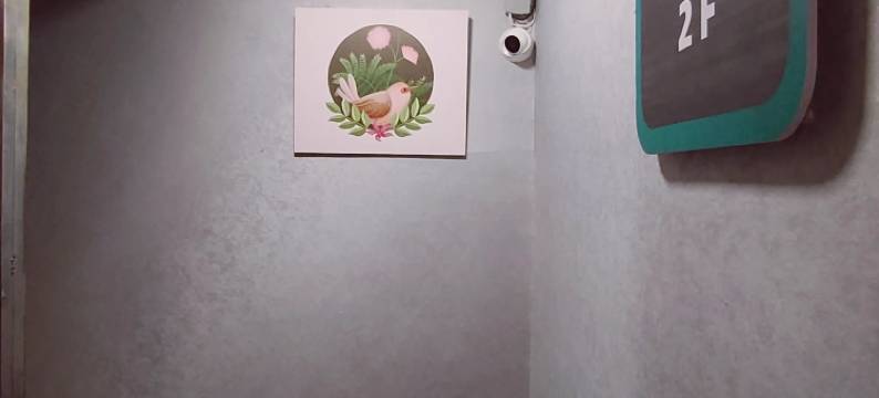 楚雄悦巢栖酒店图片