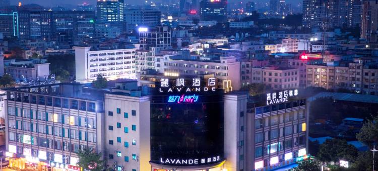 麗枫酒店(东莞寮步汽车东站店)图片