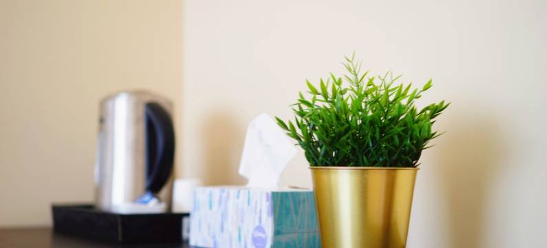 温哥华机场喜悦舒适旅馆(Joys Hotel)图片