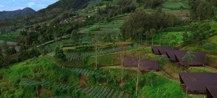 克马默拉布(KEMA Merbabu powered by Cocotel)图片