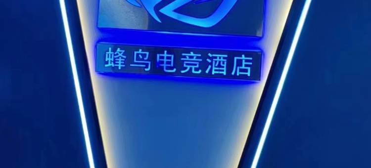 土默特右旗蜂鸟电竞酒店图片
