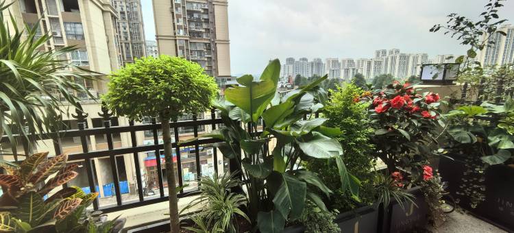 璟悦酒店(圣桦时代广场店)图片