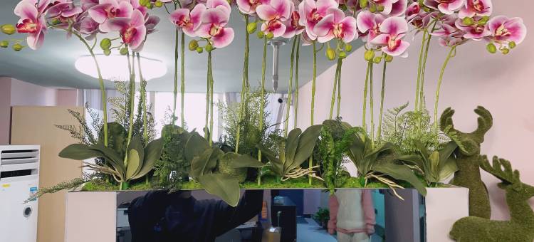 城市里青年旅舍(南京新街口店)图片