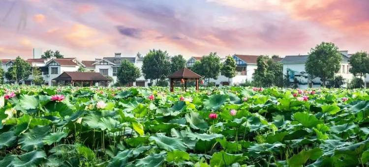 曲靖麟湖心居花园酒店图片