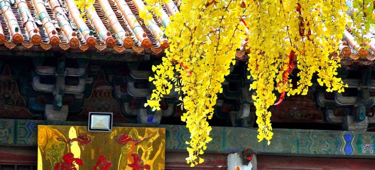 神垕孔家大酒店图片