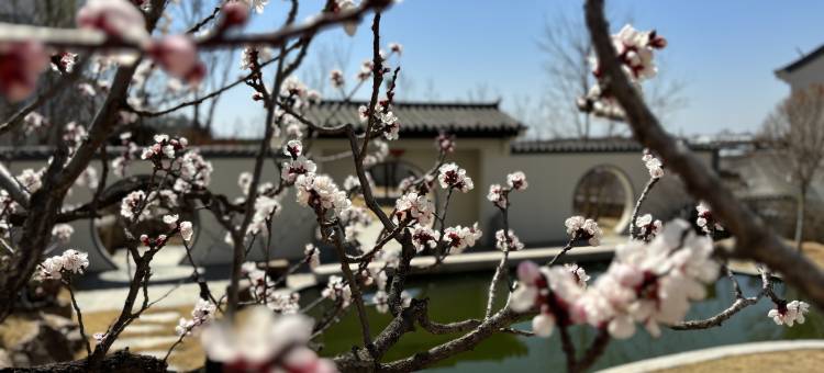 泰安养心谷崧源民宿图片