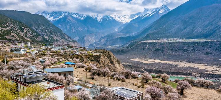 索松村大空里民宿图片