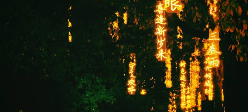 栖畔林院·归屿民宿图片