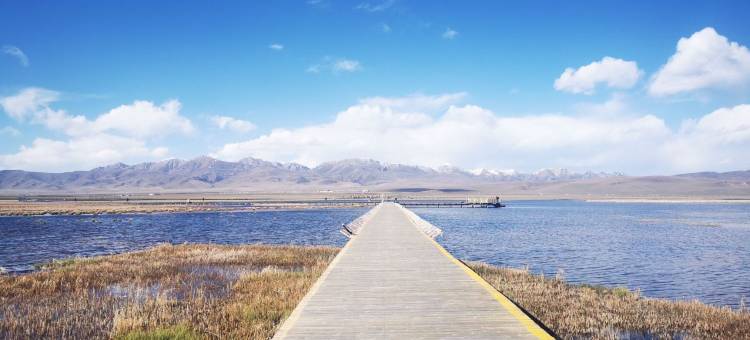 若尔盖藏海花酒店图片