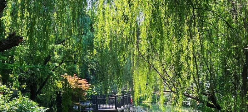 Yolo·青沐民宿(桐乡乌镇西栅景区店)图片