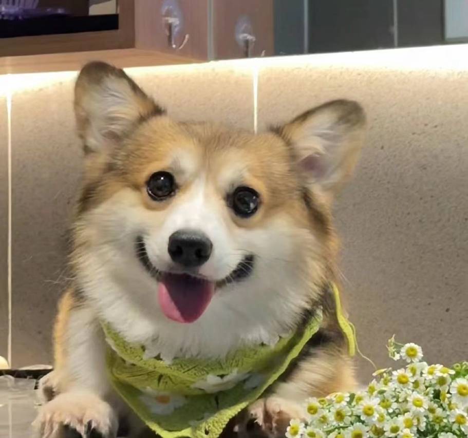 拾贰民宿Twelve(霞浦三沙店)图片