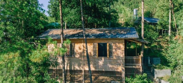 柘荣松林民宿图片