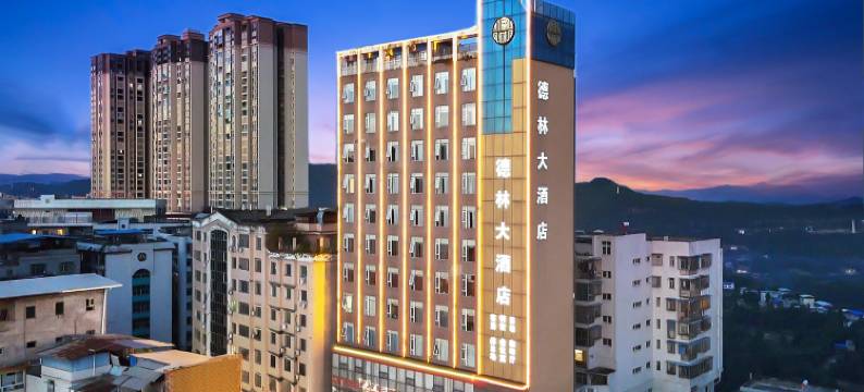 德林大酒店(仪陇金城店)图片
