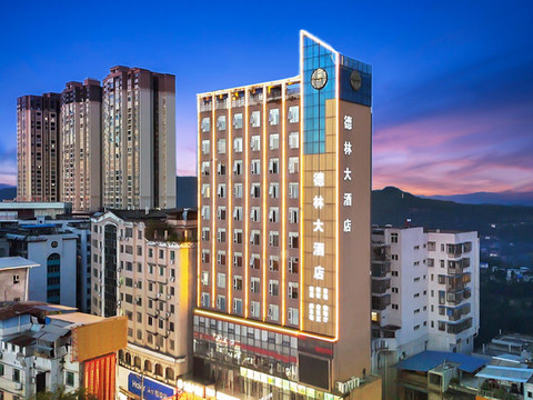 德林大酒店(仪陇金城店)