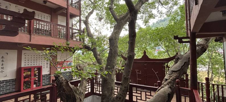 石柱小鸟清河客栈图片