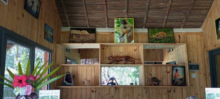 焕颜草生态营地酒店(Longoza Ecolodge)图片