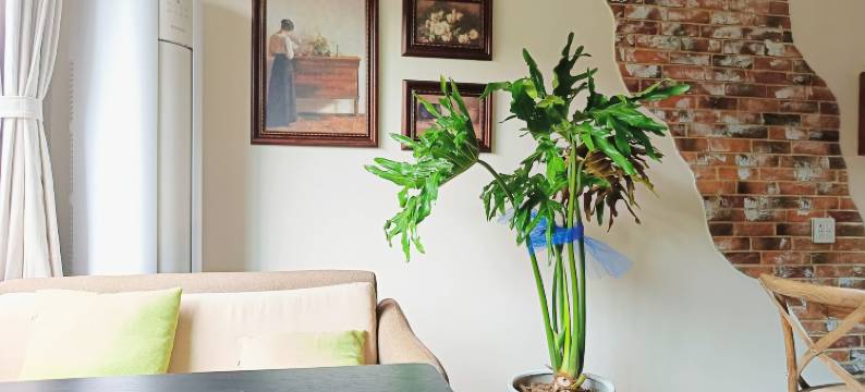 荻港花恬小筑民宿图片