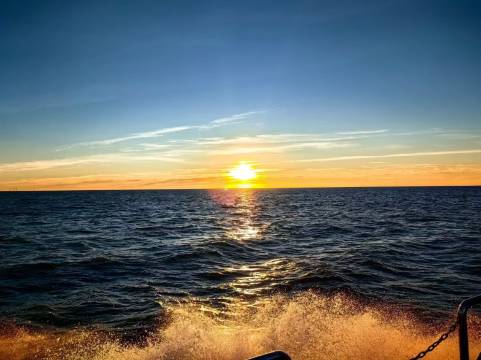 湄洲岛海景大酒店(鹅尾沙滩店)图片