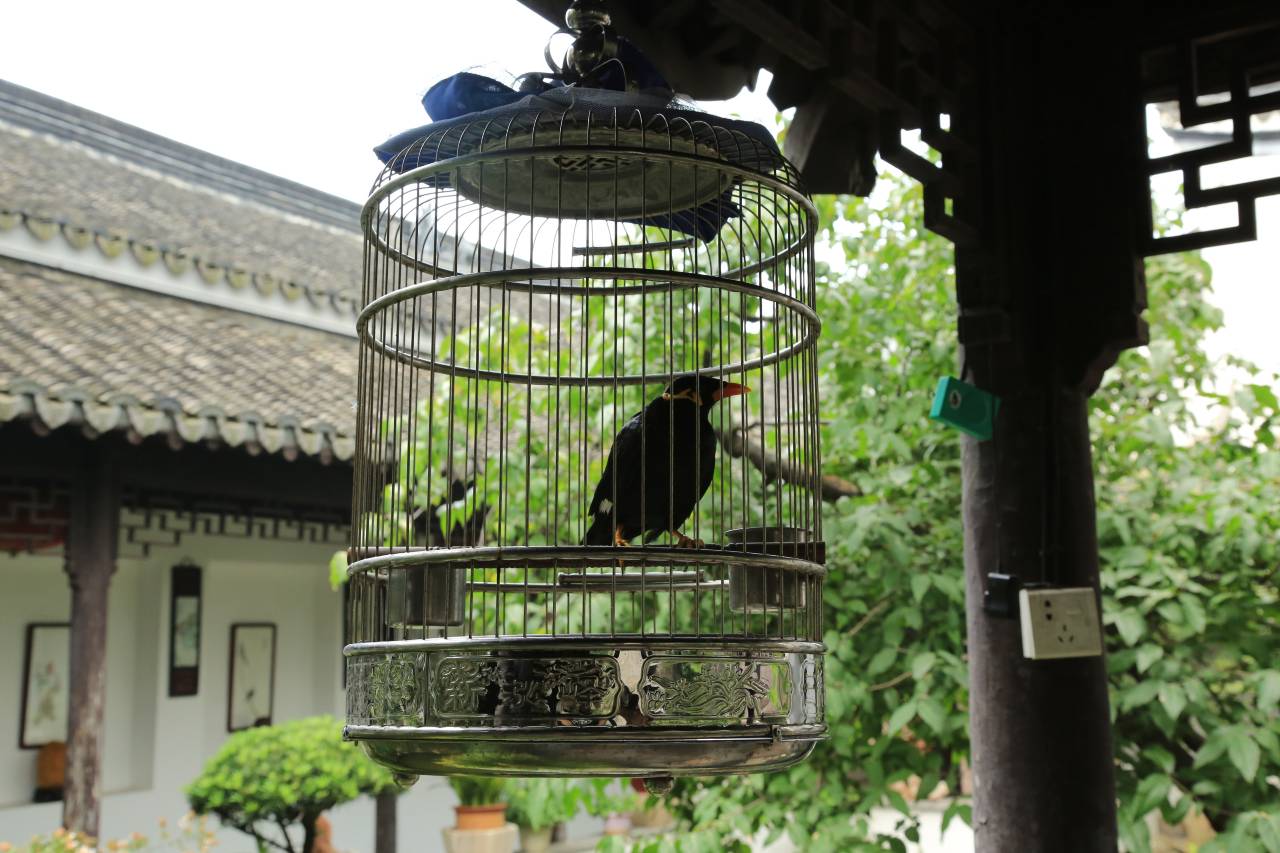 落花老屋·江南园林静谧庭院中式府址园林美宿(南浔古镇景区店)图片