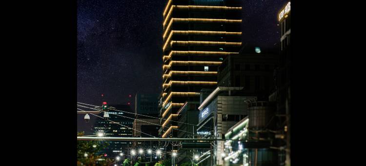 首尔江南艾琳娜酒店(Hotel Eliena Seoul Gangnam)图片