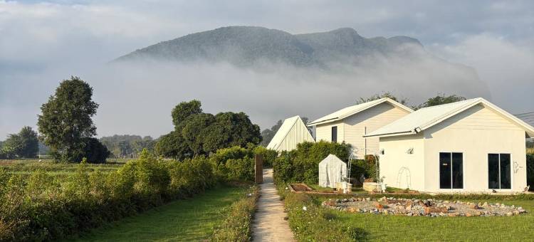 清道乐天园(Paradise Resort & Cafe)图片