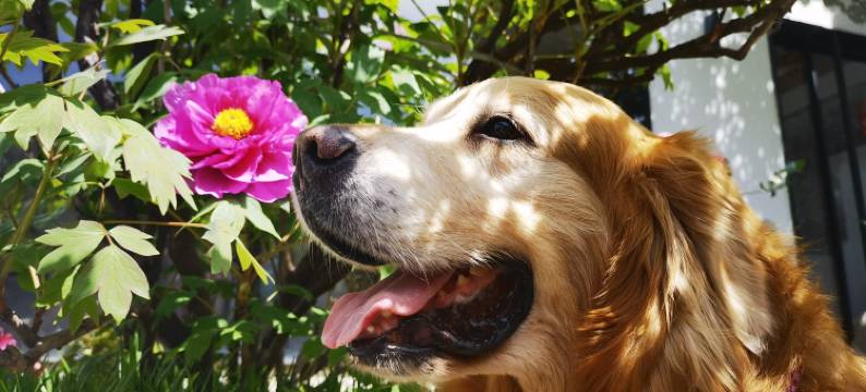 苏州书泉雅集·美食·旅拍·宠物民宿(太湖西山岛店)图片