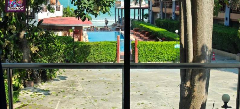 迪斯科动物园酒吧和旅馆(Discozoo BAR and HOSTEL)图片