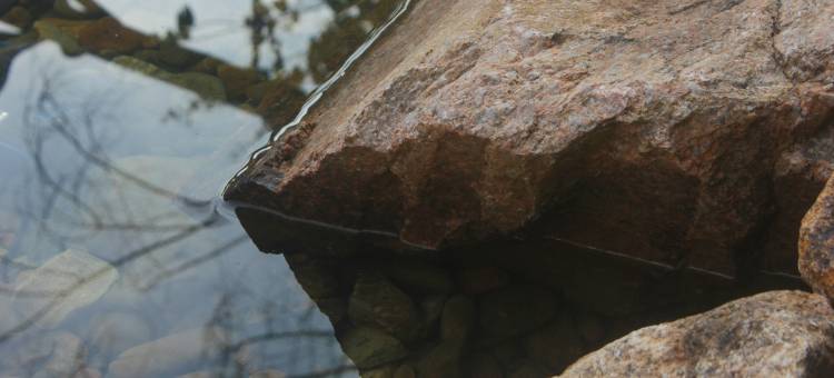 禾墅·VILLA四合院酒店(龙岩永定客家古镇店)图片