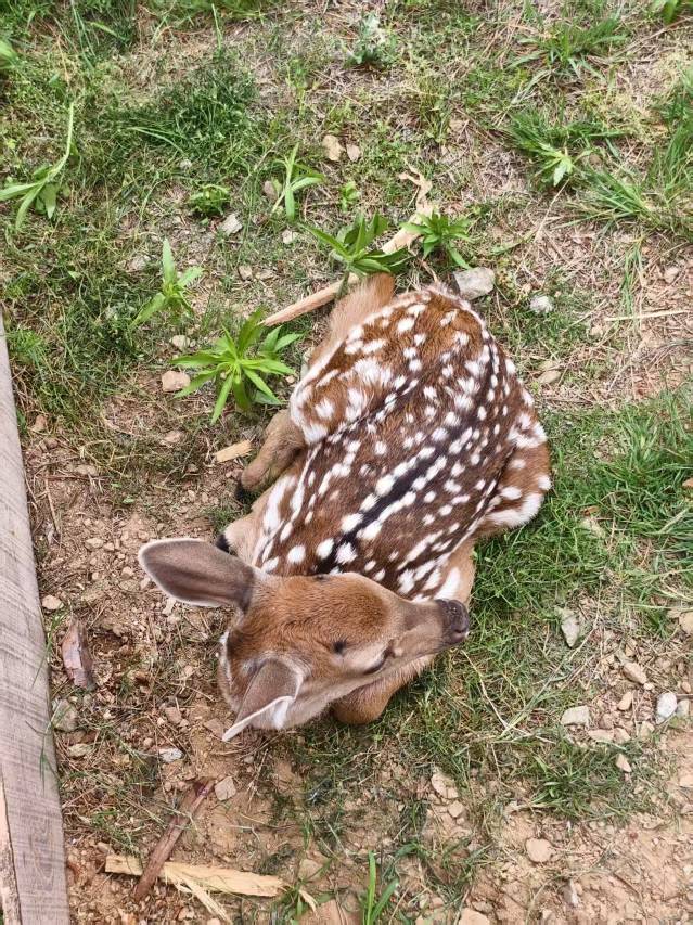 花筑·日照呦呦谷酒店图片