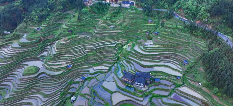 从江加榜梯田田之缘景观山庄图片