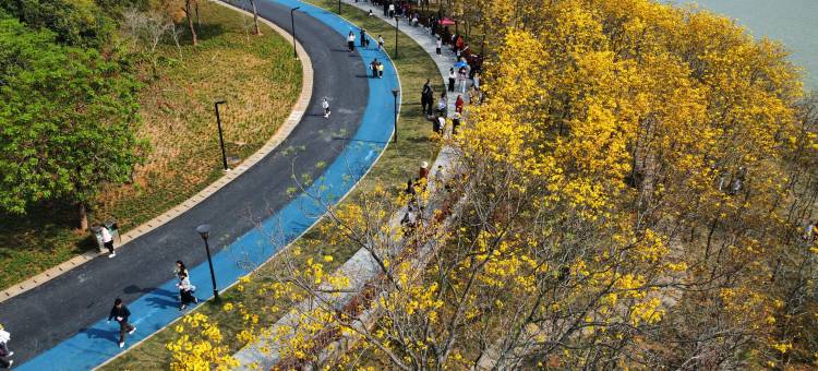 阳西咸水矿温泉旅游度假山庄图片